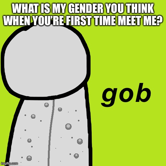 Gob Dream | WHAT IS MY GENDER YOU THINK WHEN YOU’RE FIRST TIME MEET ME? | image tagged in gob dream | made w/ Imgflip meme maker