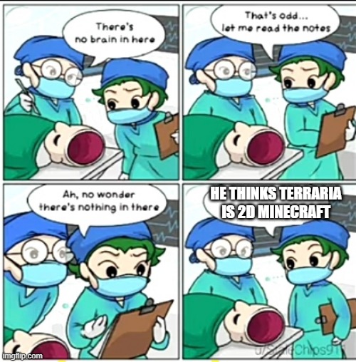 There's no brain here | HE THINKS TERRARIA IS 2D MINECRAFT | image tagged in there's no brain here | made w/ Imgflip meme maker