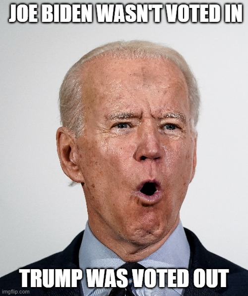 Joe Biden wasn't voted in,,, | JOE BIDEN WASN'T VOTED IN; TRUMP WAS VOTED OUT | image tagged in potus,joe biden,creepy joe biden | made w/ Imgflip meme maker