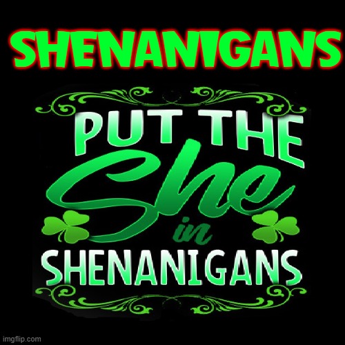 SHENANIGANS | made w/ Imgflip meme maker