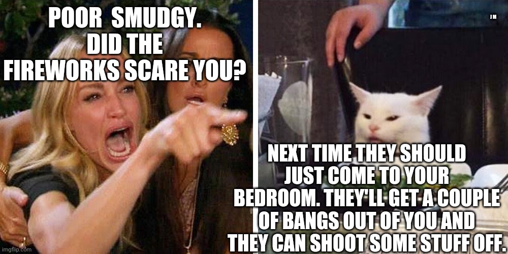 Smudge the cat | J M; POOR  SMUDGY. DID THE FIREWORKS SCARE YOU? NEXT TIME THEY SHOULD JUST COME TO YOUR BEDROOM. THEY'LL GET A COUPLE OF BANGS OUT OF YOU AND THEY CAN SHOOT SOME STUFF OFF. | image tagged in smudge the cat | made w/ Imgflip meme maker