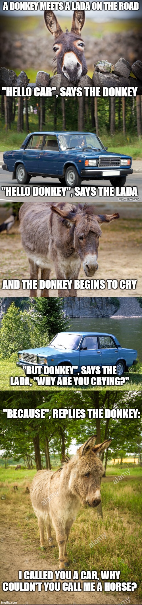 The donkey and the Lada | A DONKEY MEETS A LADA ON THE ROAD; "HELLO CAR", SAYS THE DONKEY; "HELLO DONKEY", SAYS THE LADA; AND THE DONKEY BEGINS TO CRY; "BUT DONKEY", SAYS THE LADA, "WHY ARE YOU CRYING?"; "BECAUSE", REPLIES THE DONKEY:; I CALLED YOU A CAR, WHY COULDN'T YOU CALL ME A HORSE? | image tagged in donkey,lada,joke | made w/ Imgflip meme maker