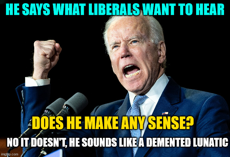 Bidens nonsense helps his position, but doesn't do a d*mn thing for America | HE SAYS WHAT LIBERALS WANT TO HEAR; DOES HE MAKE ANY SENSE? NO IT DOESN'T, HE SOUNDS LIKE A DEMENTED LUNATIC | image tagged in stupid liberals | made w/ Imgflip meme maker