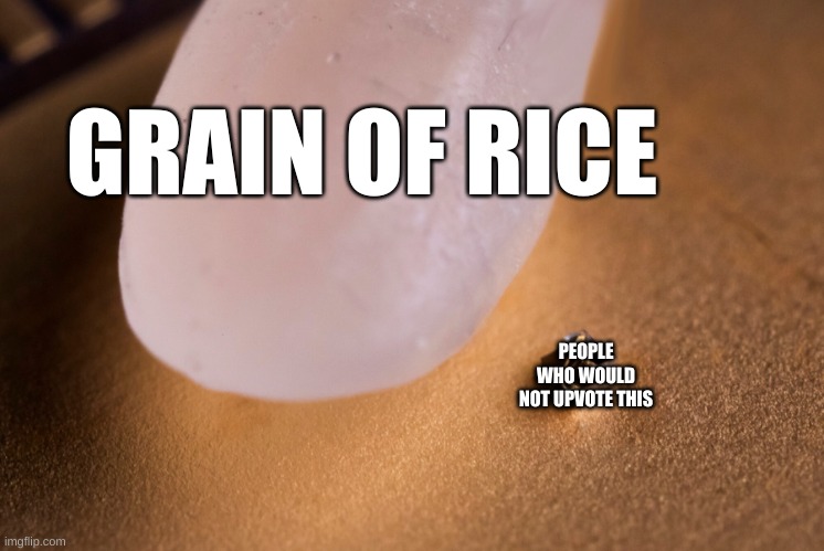Grain Of Rice | GRAIN OF RICE PEOPLE WHO WOULD NOT UPVOTE THIS | image tagged in grain of rice | made w/ Imgflip meme maker