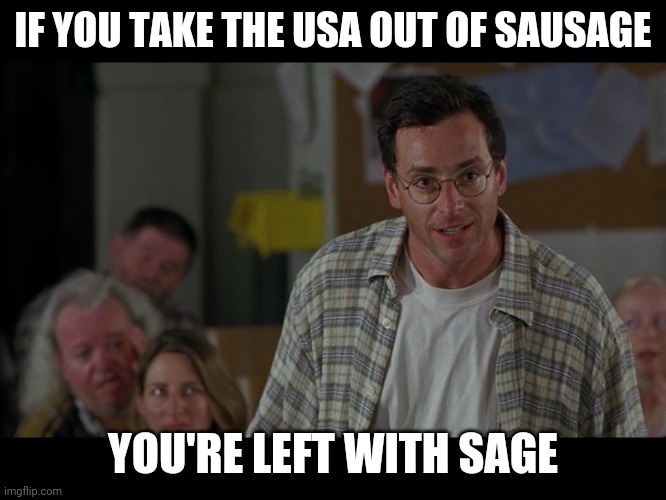 Half Baked Bob Saget | IF YOU TAKE THE USA OUT OF SAUSAGE; YOU'RE LEFT WITH SAGE | image tagged in half baked bob saget | made w/ Imgflip meme maker