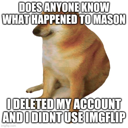 h | DOES ANYONE KNOW WHAT HAPPENED TO MASON; I DELETED MY ACCOUNT AND I DIDNT USE IMGFLIP | made w/ Imgflip meme maker