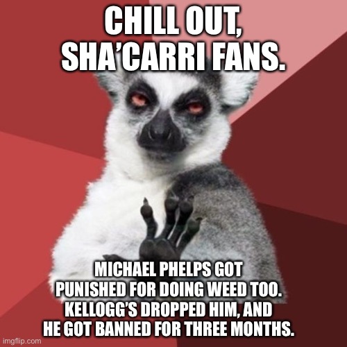 People need to learn how to use a search engine | CHILL OUT, SHA’CARRI FANS. MICHAEL PHELPS GOT PUNISHED FOR DOING WEED TOO. KELLOGG’S DROPPED HIM, AND HE GOT BANNED FOR THREE MONTHS. | image tagged in memes,chill out lemur,michael phelps,olympics,weed,internet | made w/ Imgflip meme maker