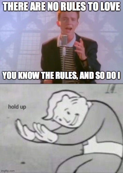 lol | THERE ARE NO RULES TO LOVE; YOU KNOW THE RULES, AND SO DO I | image tagged in rick astley,fallout hold up,why are you reading this | made w/ Imgflip meme maker