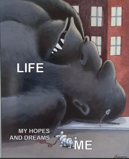 My dreams and ambitions | LIFE; MY HOPES AND DREAMS; ME | image tagged in real life,life,poodle,gorilla,funny,funny memes | made w/ Imgflip meme maker