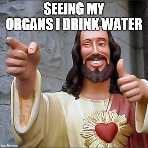 Buddy Christ | SEEING MY ORGANS I DRINK WATER | image tagged in memes,buddy christ | made w/ Imgflip meme maker
