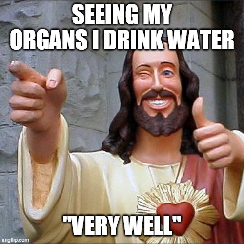 Buddy Christ | SEEING MY ORGANS I DRINK WATER; "VERY WELL" | image tagged in memes,buddy christ | made w/ Imgflip meme maker