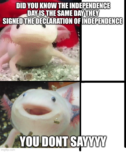 Axolotl | DID YOU KNOW THE INDEPENDENCE DAY IS THE SAME DAY THEY SIGNED THE DECLARATION OF INDEPENDENCE; YOU DONT SAYYYY | image tagged in axolotl | made w/ Imgflip meme maker