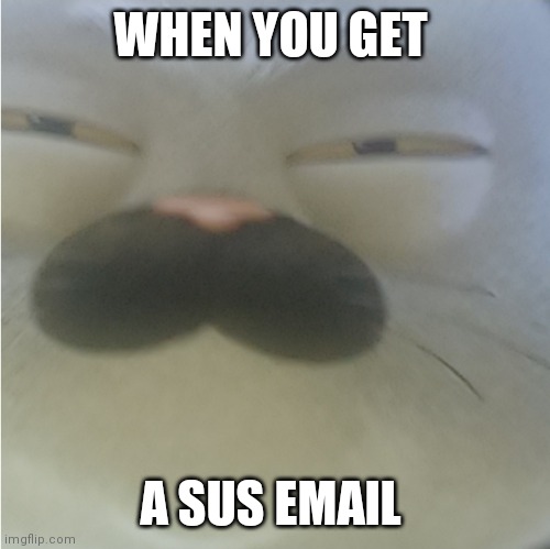 Smort people be like | WHEN YOU GET; A SUS EMAIL | image tagged in squinting cat | made w/ Imgflip meme maker