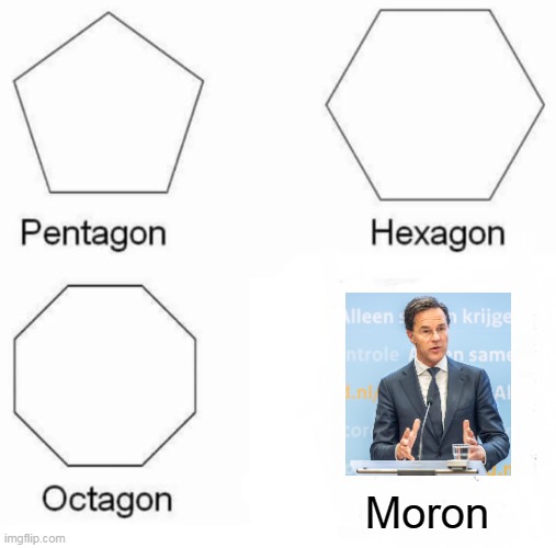 Dutch prime minister | Moron | image tagged in memes,pentagon hexagon octagon | made w/ Imgflip meme maker