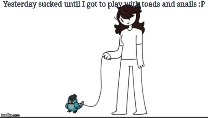 Jaiden walking Ari | Yesterday sucked until I got to play with toads and snails :P | made w/ Imgflip meme maker