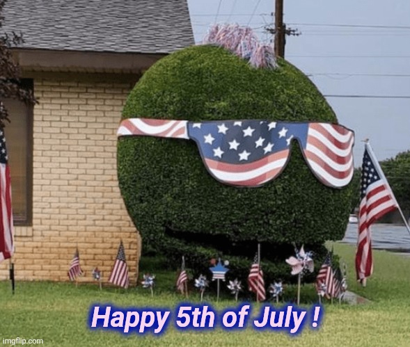 The morning after |  Happy 5th of July ! | image tagged in party hard,july 4th,colorful fireworks,beer,barbecue,fun stuff | made w/ Imgflip meme maker