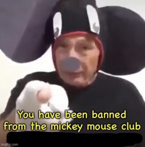 Banned From The Mickey Mouse Club | image tagged in banned from the mickey mouse club | made w/ Imgflip meme maker