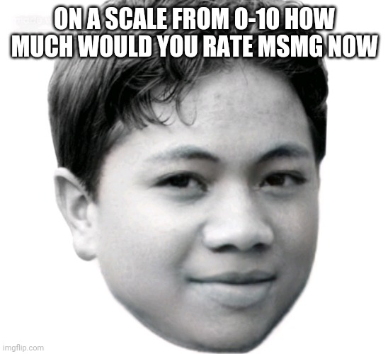 Akifhaziq | ON A SCALE FROM 0-10 HOW MUCH WOULD YOU RATE MSMG NOW | image tagged in akifhaziq | made w/ Imgflip meme maker