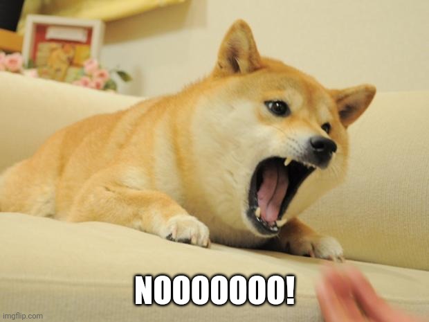 ANGRY DOGE | NOOOOOOO! | image tagged in angry doge | made w/ Imgflip meme maker