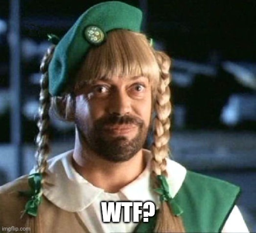 girl scout scam | WTF? | image tagged in girl scout scam | made w/ Imgflip meme maker