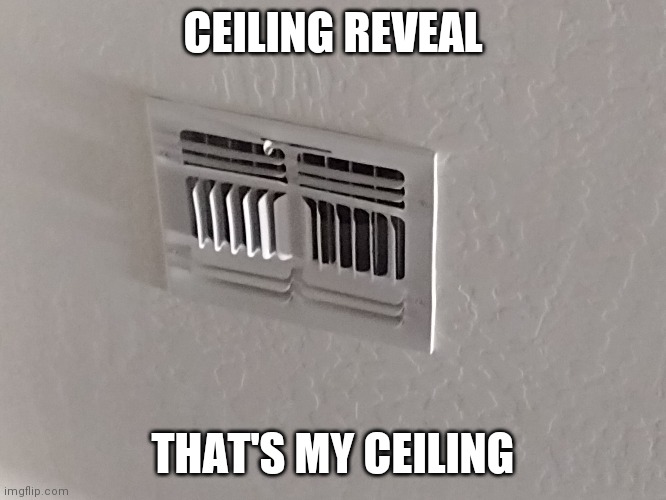 1st step till I myself appear in an image | CEILING REVEAL; THAT'S MY CEILING | image tagged in ceiling | made w/ Imgflip meme maker