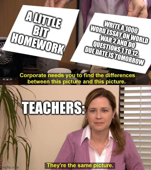 They are the same picture!!! | A LITTLE BIT HOMEWORK; WRITE A 1000 WORD ESSAY ON WORLD WAR 2 AND DO QUESTIONS 1 TO 12. DUE DATE IS TOMORROW; TEACHERS: | image tagged in they are the same picture,homework | made w/ Imgflip meme maker