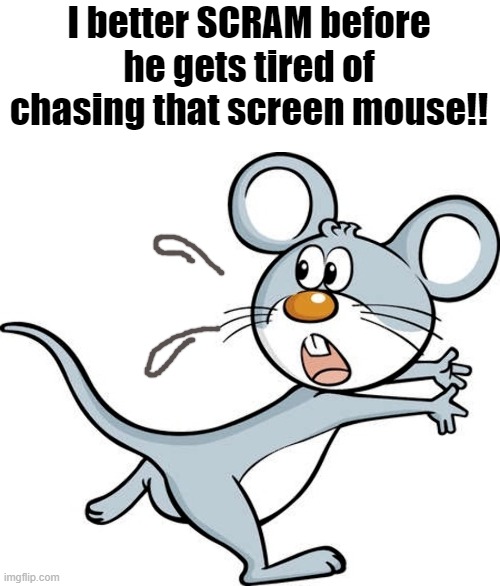 I better SCRAM before he gets tired of chasing that screen mouse!! | made w/ Imgflip meme maker