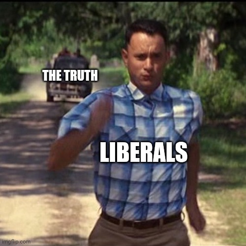 The truth to a liberal is like sunlight to a vampire. | THE TRUTH; LIBERALS | image tagged in memes | made w/ Imgflip meme maker