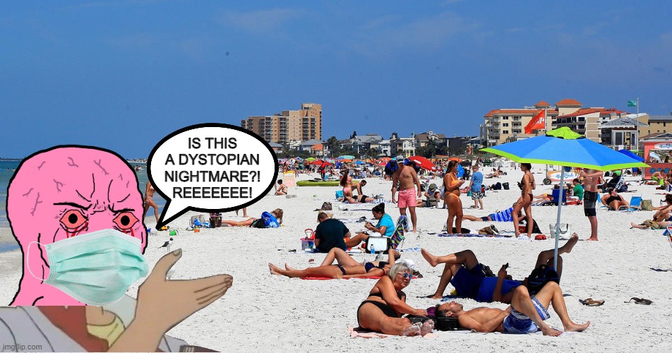 Covid panicker still panicking | IS THIS A DYSTOPIAN NIGHTMARE?! REEEEEEE! | image tagged in is this a pigeon,hysteria,beach,day at the beach,liberal logic,stupid liberals | made w/ Imgflip meme maker