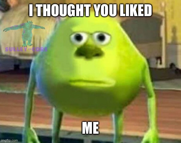 Monsters Inc | I THOUGHT YOU LIKED ME | image tagged in monsters inc | made w/ Imgflip meme maker