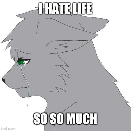 Ugh.. | I HATE LIFE; SO SO MUCH | image tagged in depressed loki,furry,sad,kill me | made w/ Imgflip meme maker