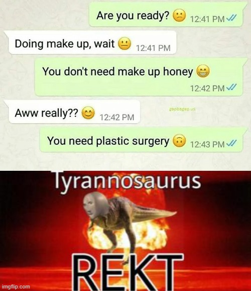 He has no chill | image tagged in tyrannosaurus rekt,memes,roasted,text messages,oof | made w/ Imgflip meme maker