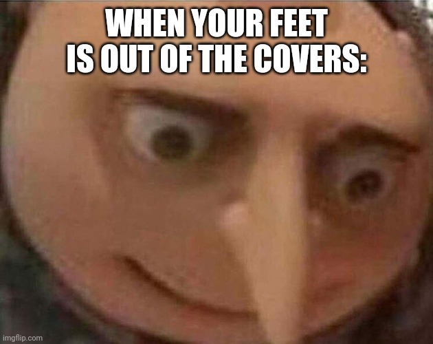 gru meme | WHEN YOUR FEET IS OUT OF THE COVERS: | image tagged in gru meme | made w/ Imgflip meme maker