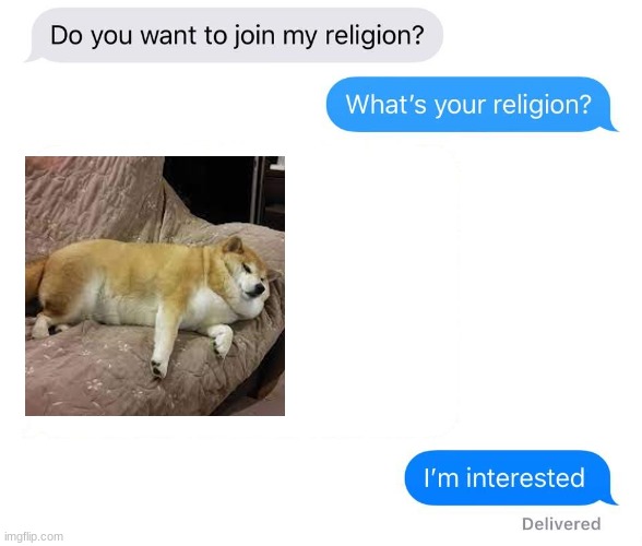 Why not add another religion? | image tagged in whats your religion,religion,of doge | made w/ Imgflip meme maker