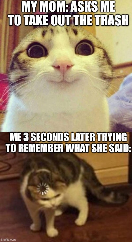 MY MOM: ASKS ME TO TAKE OUT THE TRASH; ME 3 SECONDS LATER TRYING TO REMEMBER WHAT SHE SAID: | image tagged in memes,smiling cat,loading cat | made w/ Imgflip meme maker