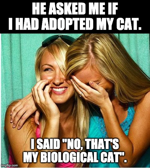 Adopted? | HE ASKED ME IF I HAD ADOPTED MY CAT. I SAID "NO, THAT'S MY BIOLOGICAL CAT". | image tagged in girls laughing | made w/ Imgflip meme maker