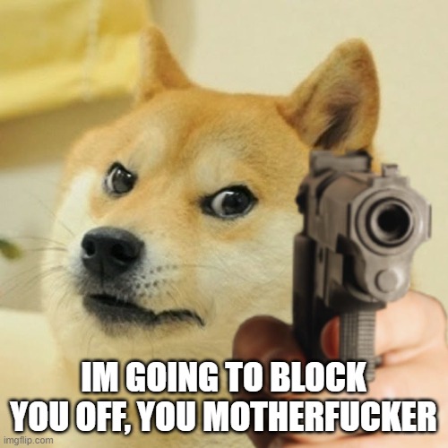 Doge holding a gun | IM GOING TO BLOCK YOU OFF, YOU MOTHERFUCKER | image tagged in doge holding a gun | made w/ Imgflip meme maker