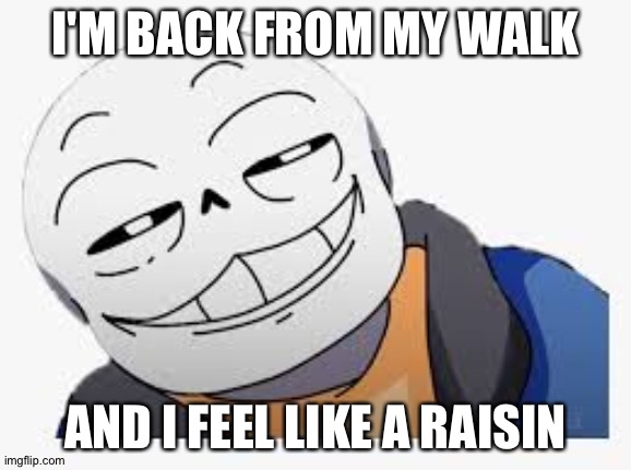 smug snas | I'M BACK FROM MY WALK; AND I FEEL LIKE A RAISIN | image tagged in smug snas | made w/ Imgflip meme maker