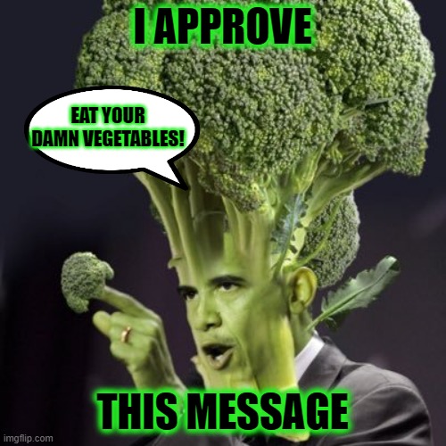 I APPROVE THIS MESSAGE EAT YOUR DAMN VEGETABLES! | made w/ Imgflip meme maker