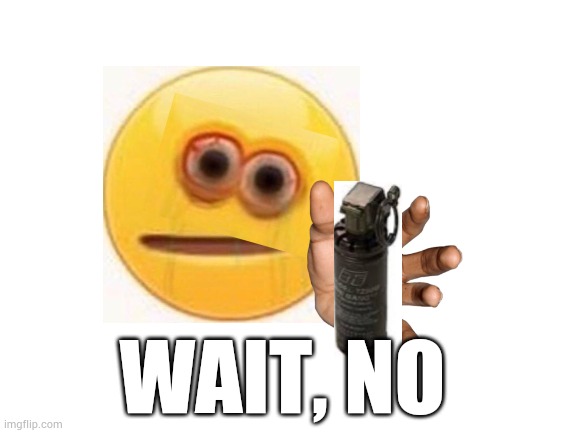 Blank White Template | WAIT, NO | image tagged in blank white template | made w/ Imgflip meme maker