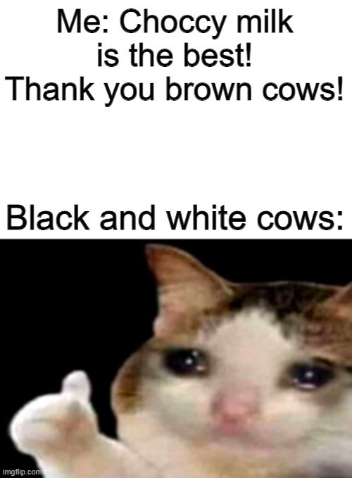 Sad cat thumbs up white spacing | Me: Choccy milk is the best! Thank you brown cows! Black and white cows: | image tagged in sad cat thumbs up white spacing | made w/ Imgflip meme maker