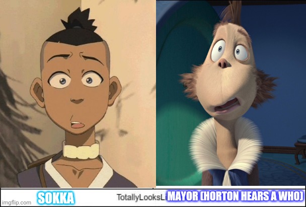 Face Expression | MAYOR (HORTON HEARS A WHO); SOKKA | image tagged in funny,facial expressions,sokka,dr seuss,avatar the last airbender,20th century fox | made w/ Imgflip meme maker