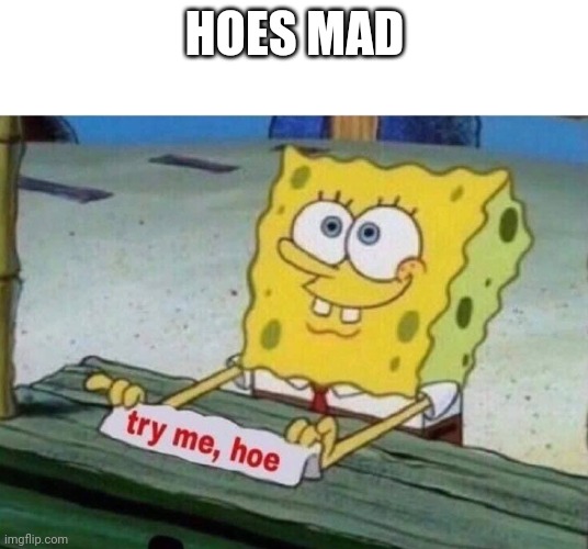 try me hoe | HOES MAD | image tagged in try me hoe | made w/ Imgflip meme maker