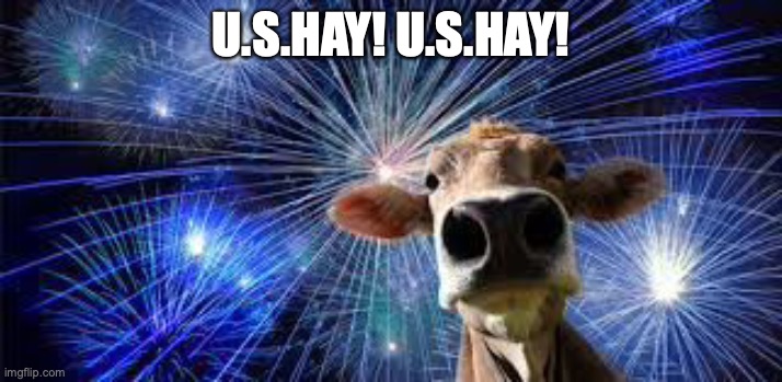 U.S.HAY! U.S.HAY! | made w/ Imgflip meme maker