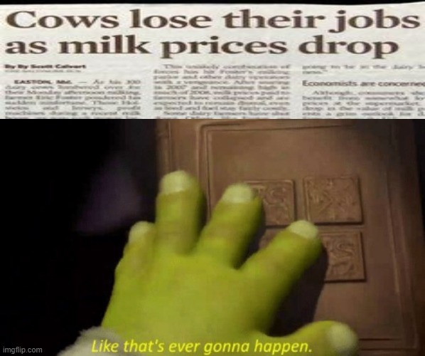 Like that's ever gonna happen. | image tagged in like that's ever gonna happen,cows,newspaper | made w/ Imgflip meme maker