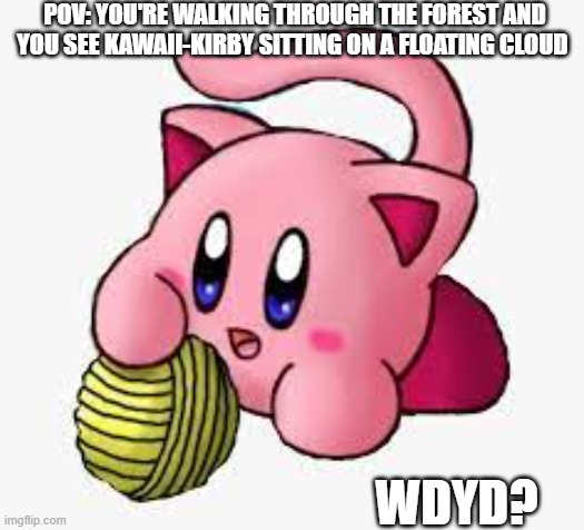 P-poyo! | POV: YOU'RE WALKING THROUGH THE FOREST AND YOU SEE KAWAII-KIRBY SITTING ON A FLOATING CLOUD; WDYD? | made w/ Imgflip meme maker