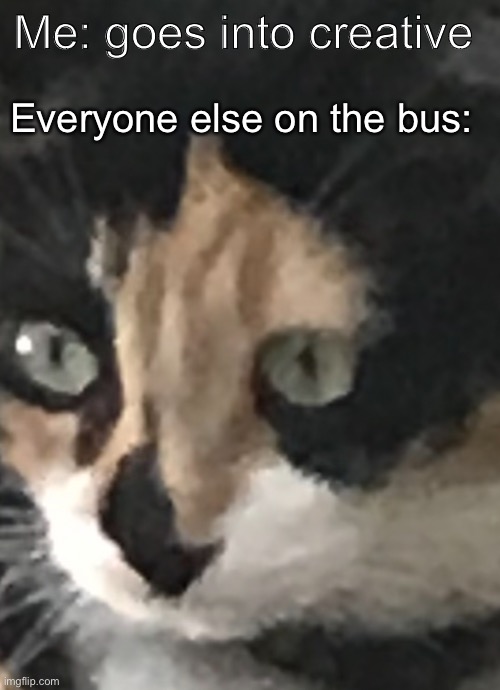  Me: goes into creative; Everyone else on the bus: | image tagged in babe cat regret | made w/ Imgflip meme maker