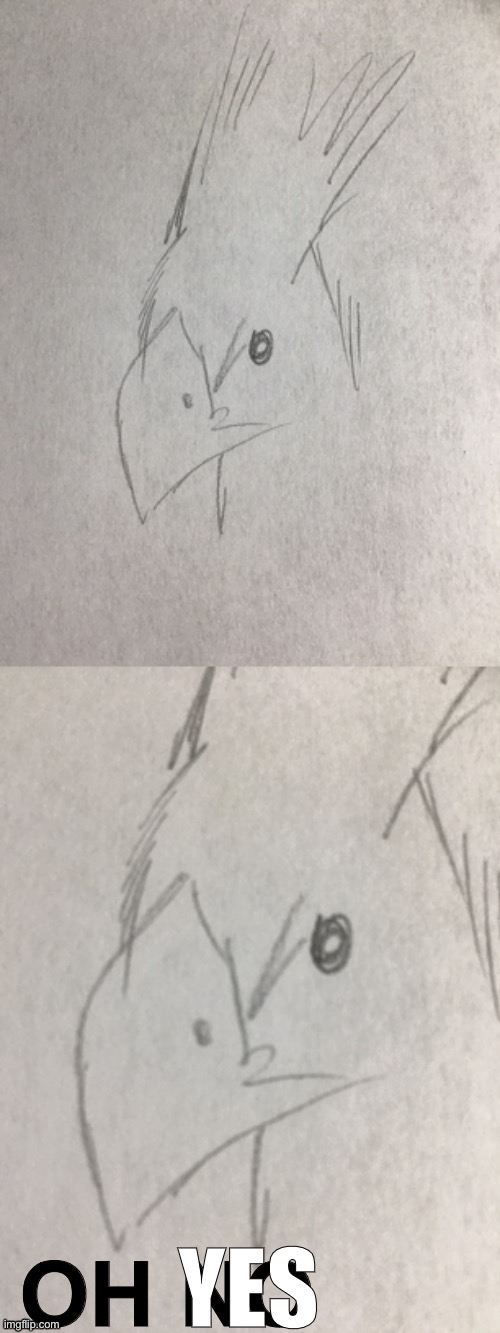 Chocobo OH NO | YES | image tagged in chocobo oh no | made w/ Imgflip meme maker