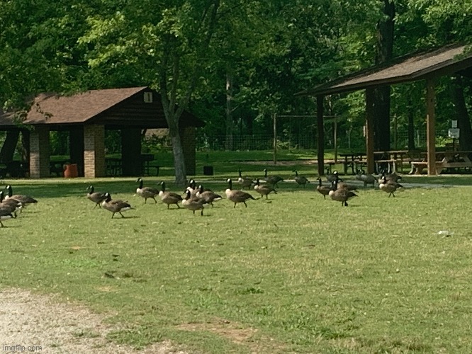 I saw this today | made w/ Imgflip meme maker