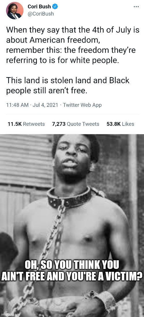 I wonder what slaves would think if the people today complaining of oppression racism about everything | OH, SO YOU THINK YOU AIN'T FREE AND YOU'RE A VICTIM? | image tagged in black slave,democrats,liberals,racism | made w/ Imgflip meme maker